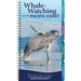 Whale-Watching on the Pacific Coast: Easily Identify Whales, Dolphins, and Other Marine Mammals