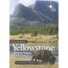 Your Guide to Yellowstone and Grand Teton National Parks: A Different Perspective