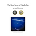 The Silver Secret of Caballo Bay