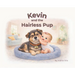 Kevin and the Hairless Pup