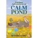Further Adventures at Calm Pond