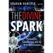 The Divine Spark: A Graham Hancock Reader: Psychedelics, Consciousness, and the Birth of Civilization