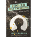 Higher Self Expression: How to Become an Artist of Possibility