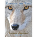 Roaming the Wild: Portraits of Wyoming