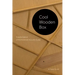 Cool Wooden Box: Transformation of the American Acoustic Guitar