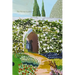 The Secret Garden (Painted Editions)