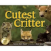 Cutest Critter