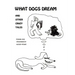 What Dogs Dream: And Other Crazy Tales