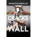 Cracks in the Wall