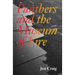 Panthers and the Museum of Fire