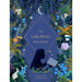 The Little Witch's Book of Spells