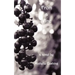 From a Vine