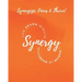 The Seven Minute Synergy Workbook