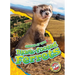 Black-Footed Ferrets