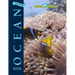 The New Ocean Book