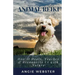 Animal Reiki: How it Heals, Teaches & Reconnects Us with Nature