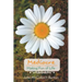 Mediocre: Making Fun of Life