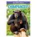Chimpanzees