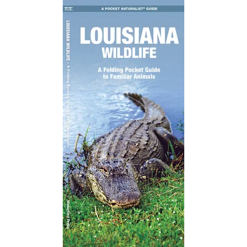 Louisiana Wildlife: A Folding Pocket Guide to Familiar Animals