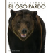 El Oso Pardo