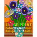 Large Print Color By Number Designs For Adults