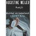 Murder at Lakeland: A Brick North Mystery