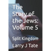 The Story of the Jews: Volume 5: Split Kingdom