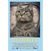 Buttercup - The Legendary Charm and Love of a Domestic Short-Haired Tabby Cat