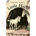 Little Horse