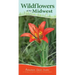 Wildflowers of the Midwest: Your Way to Easily Identify Wildflowers