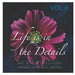Life is in the Details Vol II