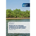 Modeling of Organic Carbon in the Sediments of Mangrove Wetlands