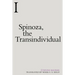 Spinoza, the Transindividual