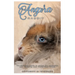 Angora Rabbit: The ultimate guide to caring for, grooming, and enjoying your fluffy fiber friend