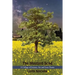 The Mustard Seed: A Collage of Science, Art and Love Poems