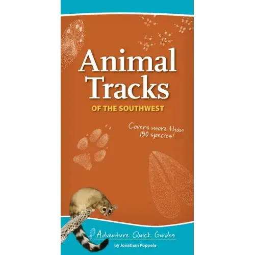 Animal Tracks of the Southwest: Your Way to Easily Identify Animal Tracks