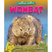 Wombat