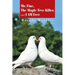 Mr. Fine, the Maple Tree Killer, and I Am Free