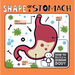 Shape of a Stomach