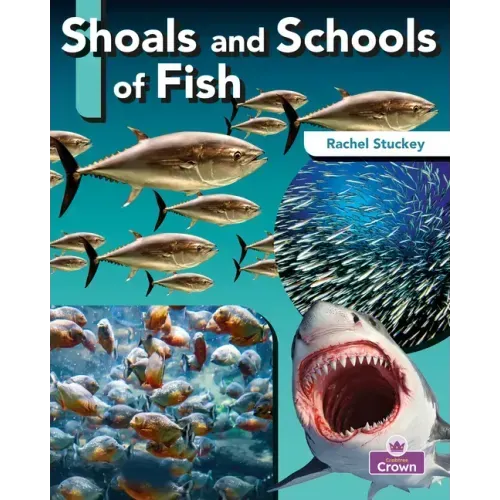 Shoals and Schools of Fish