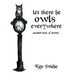 Let There Be Owls Everywhere: Another Book of Poems