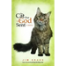 The Cat That God Sent
