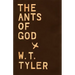 The Ants of Gods