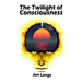 The Twilight of Consciousness: Towards a Better Understanding of Crossing the Abyss