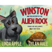 Winston and the Mystery of the Alien Rock