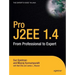 Pro J2EE 1.4: from professional to expert