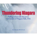Thundering Niagara - Falling in love with the power and wonder of Niagara Falls, USA
