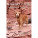 Raising Charlie: The Lessons of a Perfect Dog