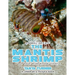 THE MANTIS SHRIMP Do Your Kids Know This?: A Children's Picture Book