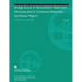 Bridge Scour in Nonuniform Sediment Mixtures and in Cohesive Materials: Synthesis Report